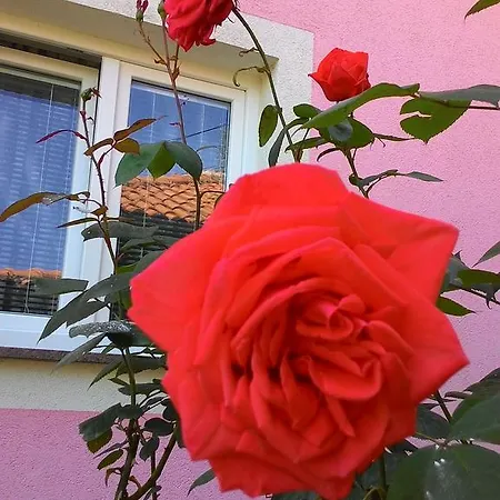 Amelie Apartament Opatija